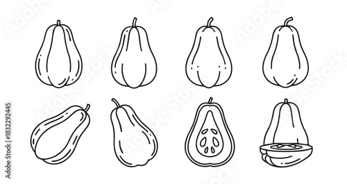Chayote icon 6 pec set black line art