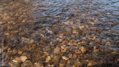 Clear stream running through stone boulders Abundant river flowing on stone bottom. Wild mountain river water splashing in summer day.underwater bubbles. 4K.
