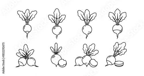 Whisk vector for culinary kitchen tools and baking equipment on a white background