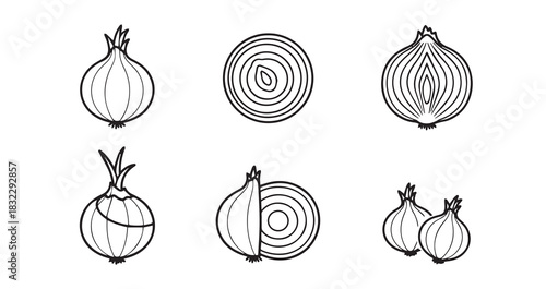 Onion icon 6 pec set black line art