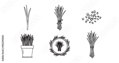 Chives icon 6 pec set black line art