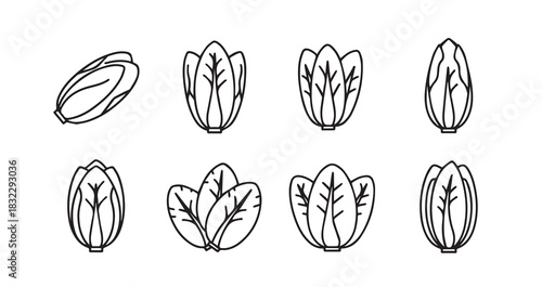 Endive icon 6 pec set black line art