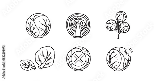 Whisk vector illustration for kitchen and cooking applications essential utensil for baking and food preparation