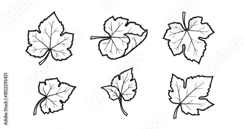 Pumpkin Leaves icon 6 pec set black line art