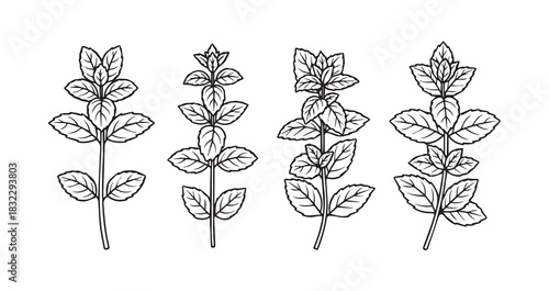 Mint icon 6 pec set black line art