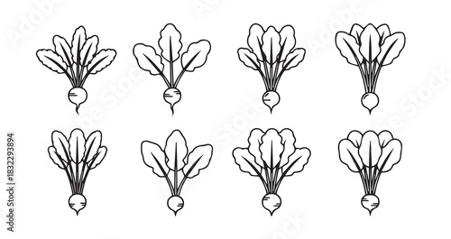 Turnip Greens icon 6 pec set black line art