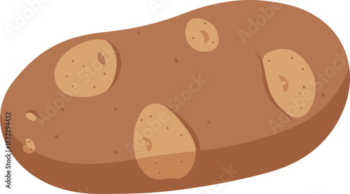 Fresh potato with rough skin on white background
