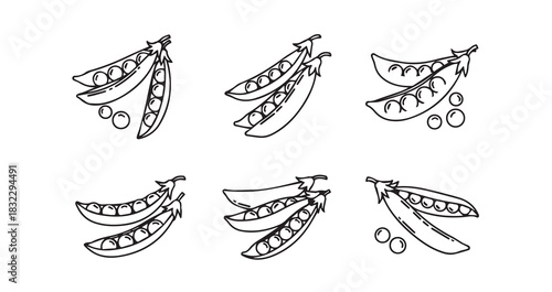Snow Peas icon 6 pec set black line art