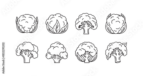 Classic kitchen whisk essential culinary utensil used for baking cooking and food preparation by home chefs