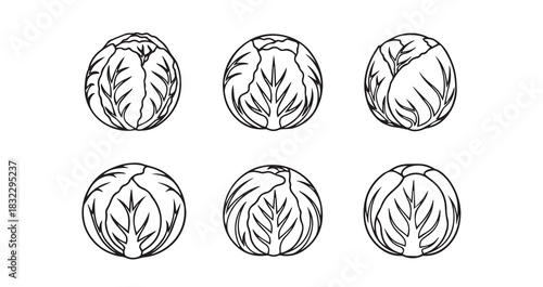 Radicchio icon 6 pec set black line art