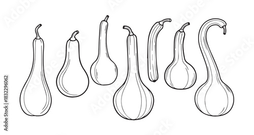 Snake Gourd icon 6 pec set black line art