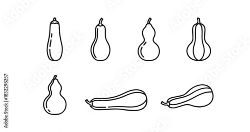 Bottle Gourd icon 6 pec set black line art