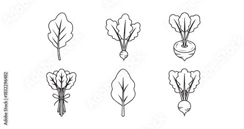 Turnip Greens icon 6 pec set black line art