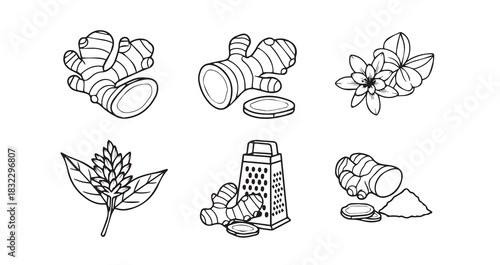 Kitchen whisk utensil for preparing food in culinary and baking projects suitable for cooking websites and restaurant menus