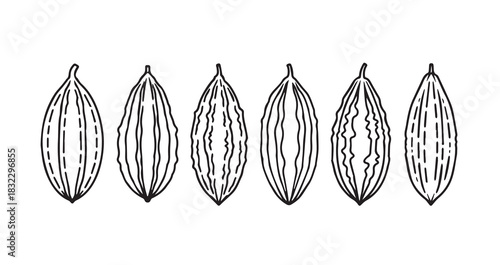 Bitter Melon icon 6 pec set black line art