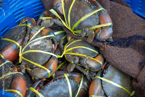Crabs in Bangkok