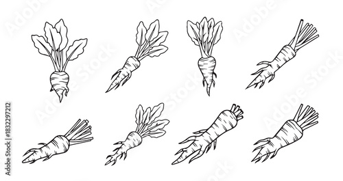 Metal whisk, an indispensable kitchen utensil for baking and culinary preparation in the kitchen.