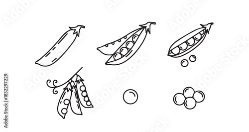 Snow Peas icon 6 pec set black line art