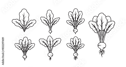 Turnip Greens icon 6 pec set black line art