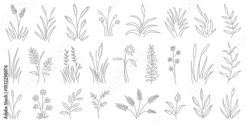 Plant elevation line silhouettes including grass, shrubs, and trees, vector set in CAD outline style, isolated on white background, perfect for architecture, landscape design, and technical planning.