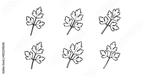 Parsley icon 6 pec set black line art