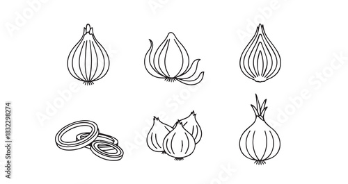 Onion icon 6 pec set black line art