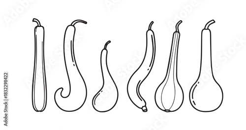 Snake Gourd icon 6 pec set black line art