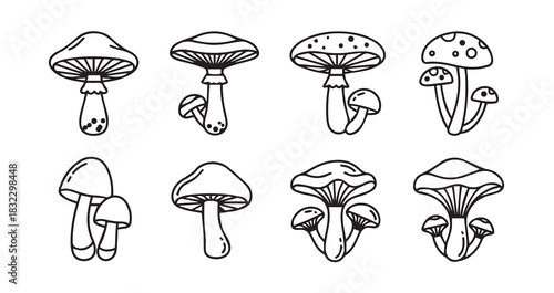 Stainless steel kitchen whisk vector for cooking and baking food preparation tools and utensils