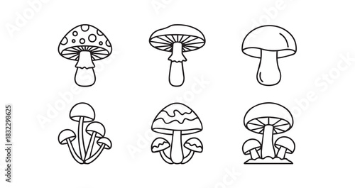 Stainless steel kitchen whisk vector for culinary arts, baking concepts, and food preparation