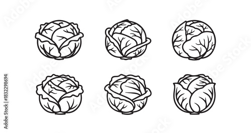 Cabbage icon 6 pec set black line art