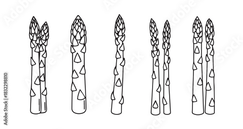 Stainless steel kitchen whisk vector illustration for baking and cooking food preparation in home kitchen