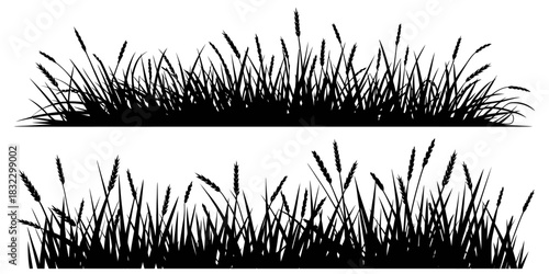 Black silhouette of reeds and grass, isolated vector illustration, perfect for nature scenes, wetland backgrounds, landscape design, environmental artwork, decorative compositions, and minimalist natu