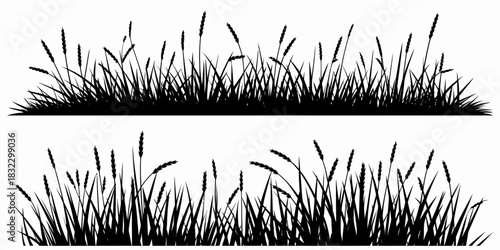 Black silhouette of reeds and grass, isolated vector illustration, perfect for nature scenes, wetland backgrounds, landscape design, environmental artwork, decorative compositions, and minimalist natu