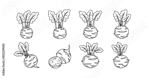 Stainless steel kitchen whisk vector illustration for cooking baking and culinary preparation