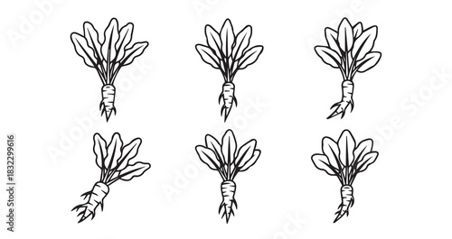 Stainless steel whisk kitchen utensil vector graphic for culinary arts, baking, and food preparation equipment