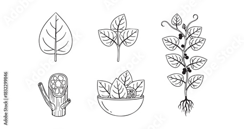 Stainless steel whisk vector illustration for kitchen utensils, essential cooking equipment for food preparation.