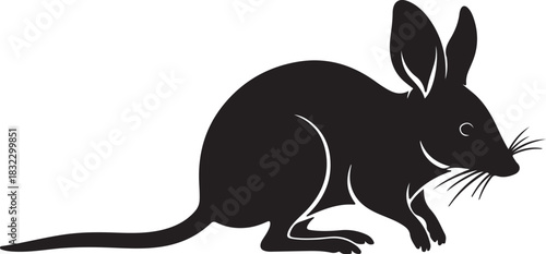 Long eared bilby silhouette marsupial australian animal wildlife vector illustration