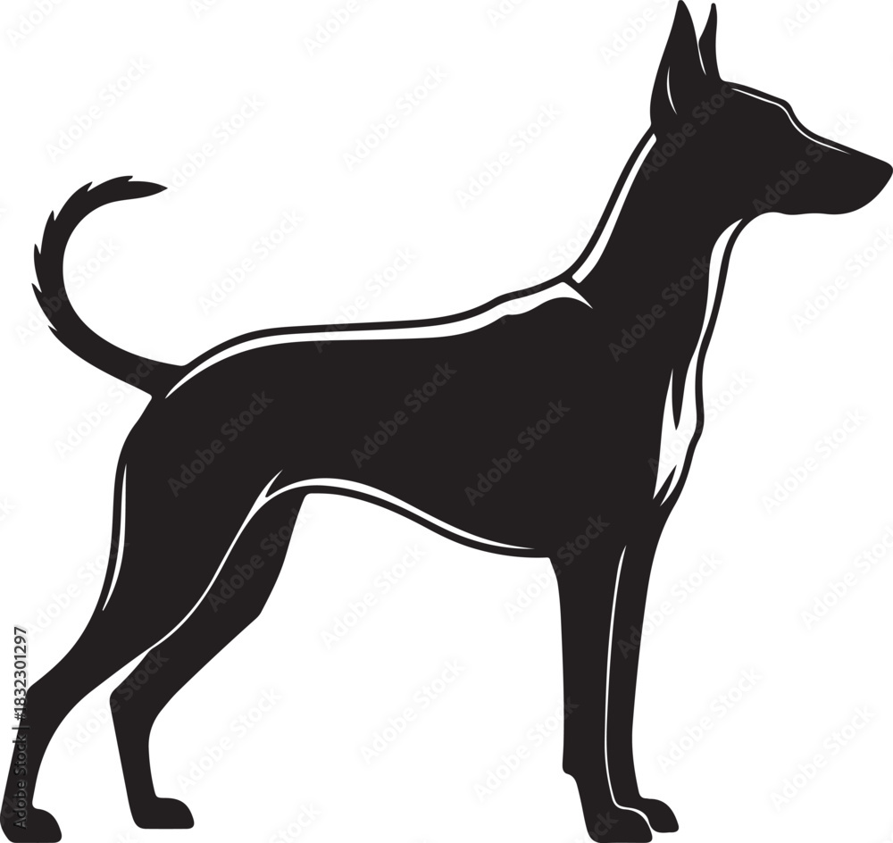Fototapeta premium Silhouette of doberman dog breed stands against transparent background in vector