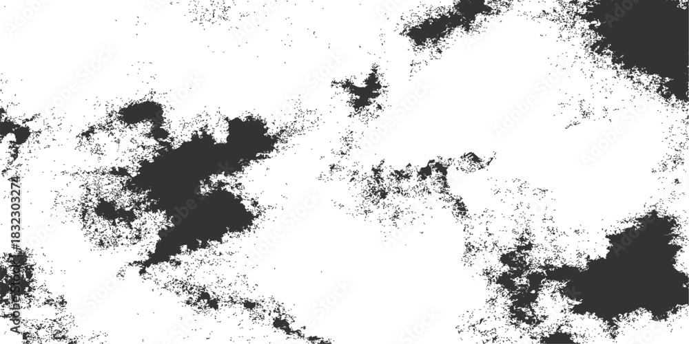 Fototapeta premium Grunge black ink splat border texture design pattern with vintage floral decoration