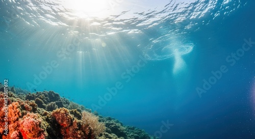 Fototapeta Naklejka Na Ścianę i Meble -  Coral reef underwater with sun rays
