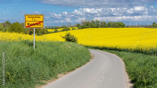 Nebenstraße von Wandelwitz (Gremersdorf) nach Heiligenhafen in Schleswig-Holstein, Deutschland durch Landschaft mit Rapsfeldern. Mit Rückseite des Ortsschilds (Ortstafel)