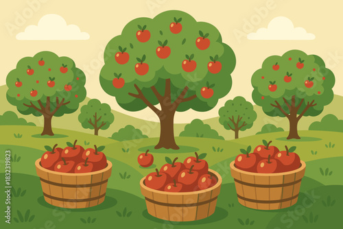 Apple orchard harvest with baskets full of red apples