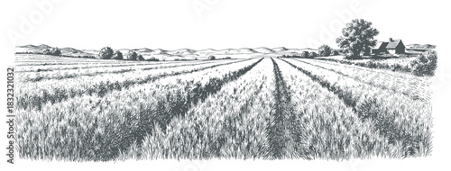 Monochrome engraving of serene endless wheat field leading to distant farmhouse under vast sky. Perfect for rural, agriculture, and countryside designs