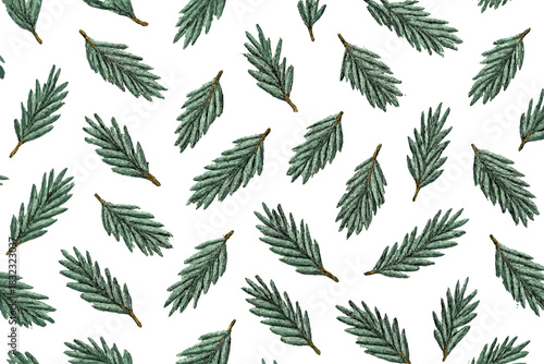 Seamless pattern of realistic pine branches on olive green