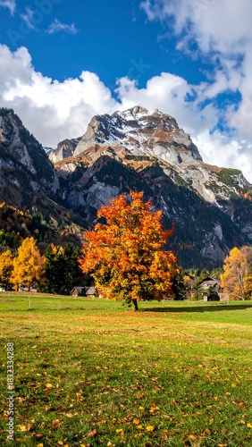 Autumnal mountain scene with vibrant orange tree, grassy meadow, blue sky, and distant snow-capped peaks