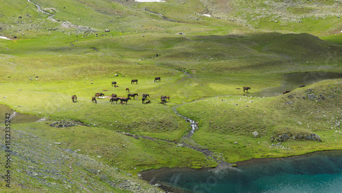 View of Caucasus Mountains in Arkhyz, Russia