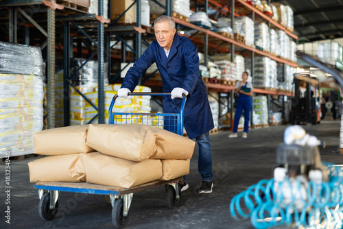 In warehouse rack area of store, stevedore loader mature man pushes and carries large cart for bulky cargo