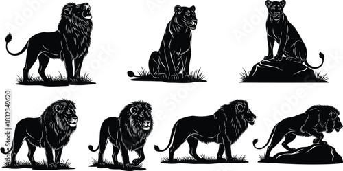 Lion and lioness silhouette, wildlife vector illustration, black animal profile, roaring and resting poses, nature icon collection