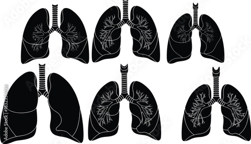 Human lungs vector collection showing detailed respiratory system anatomy in multiple styles, ideal for medical education, healthcare graphics, biology diagrams, and anatomy illustrations