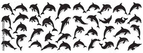 Collection of dolphin silhouettes